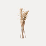 Planta decorativa